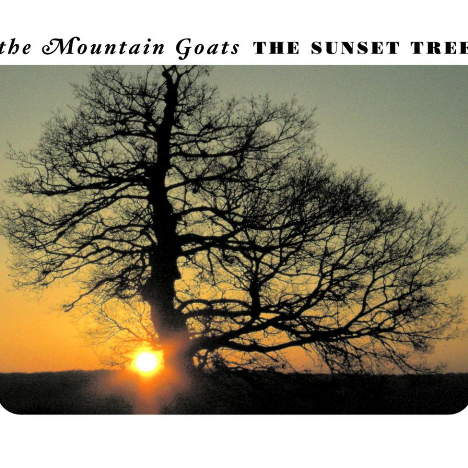 The Sunset Tree